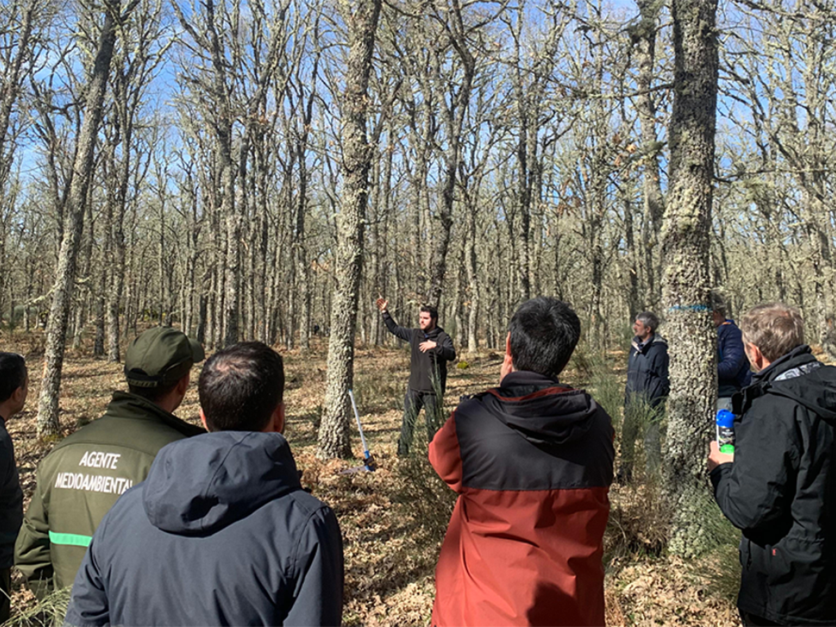Rebollo Labs Salamanca y Caceres